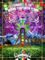   Cannabis is The Human Companion Plant
