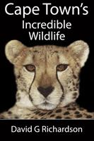 Cape Town's Incredible Wildlife