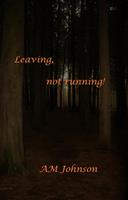   Leaving, not running!