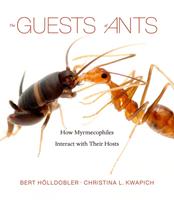   The Guests of Ants