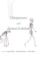   Chimpanzees and Human Evolution