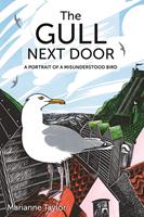   The Gull Next Door