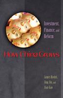   How China Grows