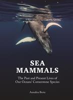   Sea Mammals
