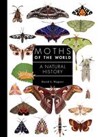   Moths of the World
