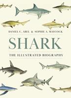   Shark