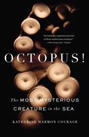   Octopus!