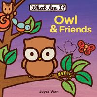   Owl & Friends
