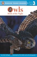   Owls