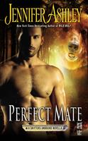   Perfect Mate
