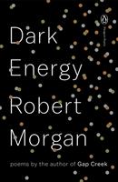   Dark Energy