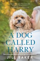   A Dog Called Harry