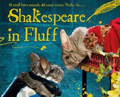   Shakespeare in Fluff