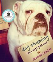   Dog Shaming