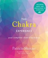   The Chakra Experience