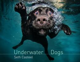   Underwater Dogs