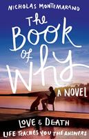   The Book of Why