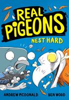   Real Pigeons Nest Hard