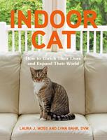   Indoor Cat