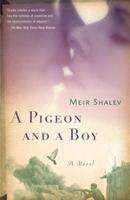   A Pigeon and a Boy