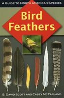   Bird Feathers
