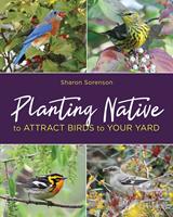   Planting Native to Attract Birds to Your Yard