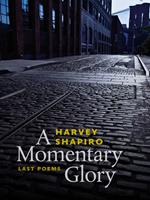   A Momentary Glory