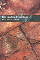   The Crack In Everything