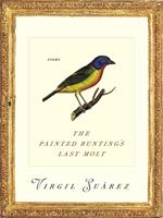   The Painted Bunting's Last Molt
