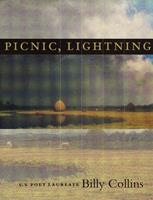   Picnic, Lightning
