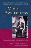   Vivid Awareness