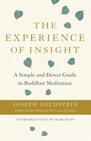   The Experience of Insight