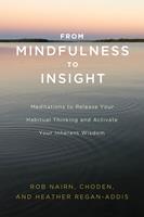 From Mindfulness to Insight