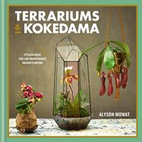   Terrariums & Kokedama