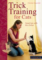   Trick Training for Cats