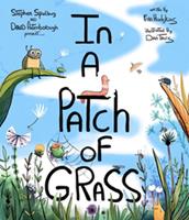   In a Patch of Grass