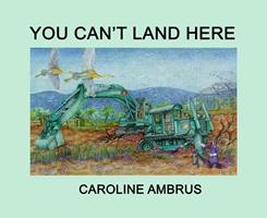  You Can't Land Here