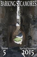   Barking Sycamores 5