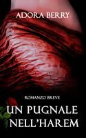   Un pugnale nell'harem