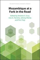   Mozambique at a Fork in the Road