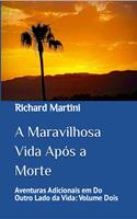   A Maravilhosa Vida Após a Morte