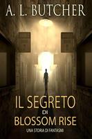   Il Segreto di Blossom Rise