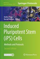   Induced Pluripotent Stem (iPS) Cells