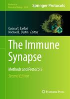   The Immune Synapse