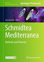   Schmidtea Mediterranea