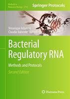   Bacterial Regulatory RNA