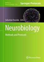   Neurobiology