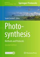   Photosynthesis
