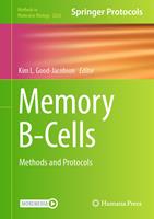   Memory B-Cells