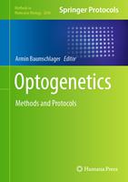   Optogenetics